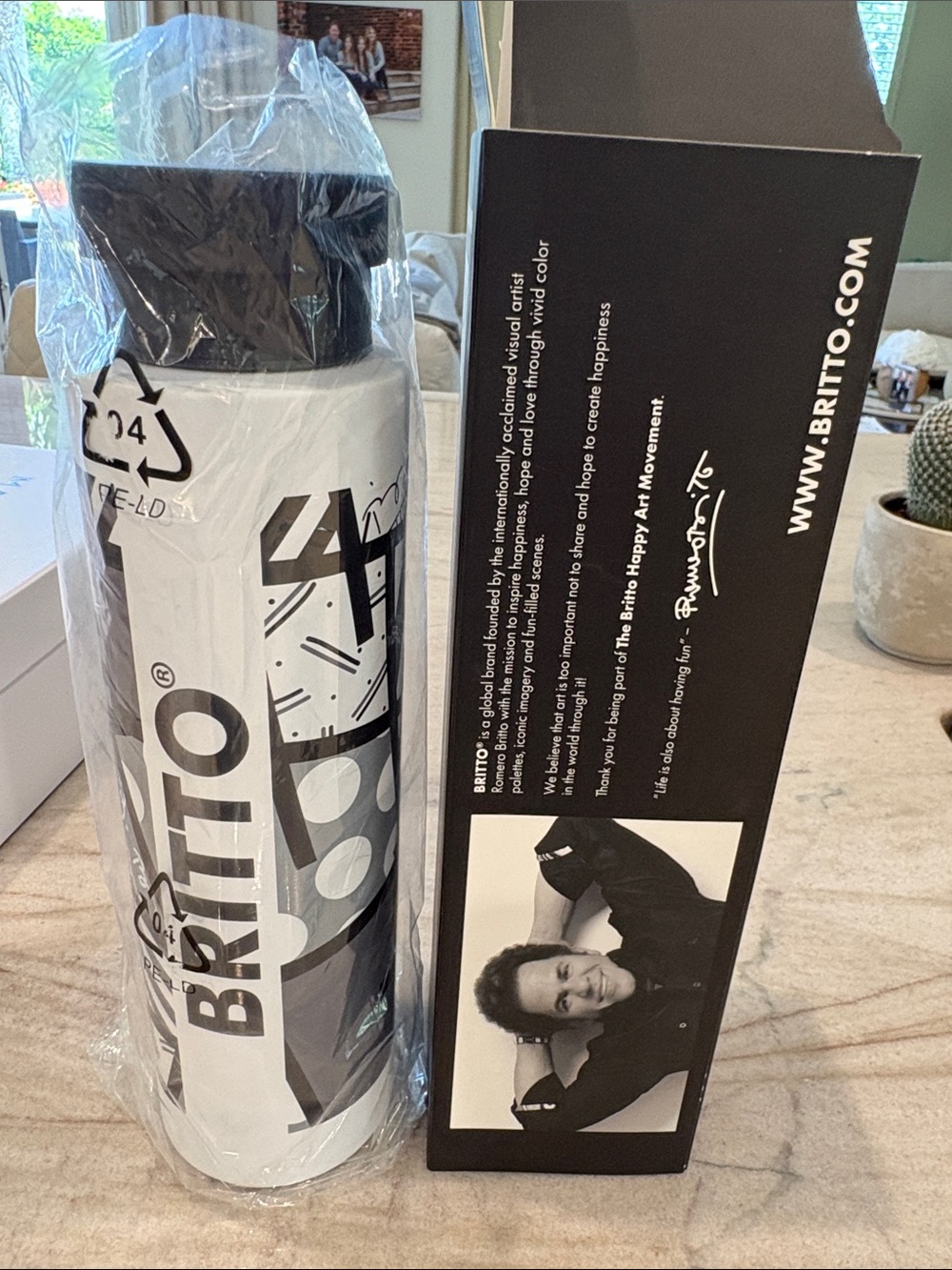 BRITTO Black & White Graphic Insulated 25oz Water Bottle - Picture 2 of 7
